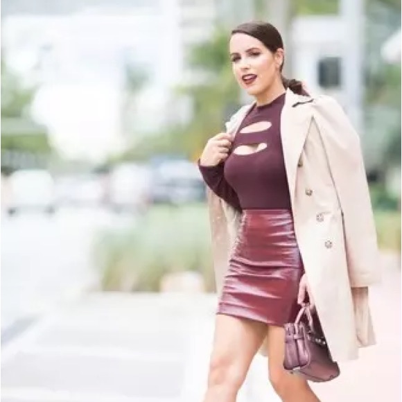 The Row Ebarg Leather Mini Skirt Plum - Picture 6 of 10